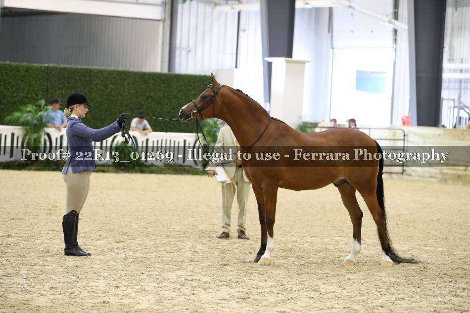 Proof 22R13_01269