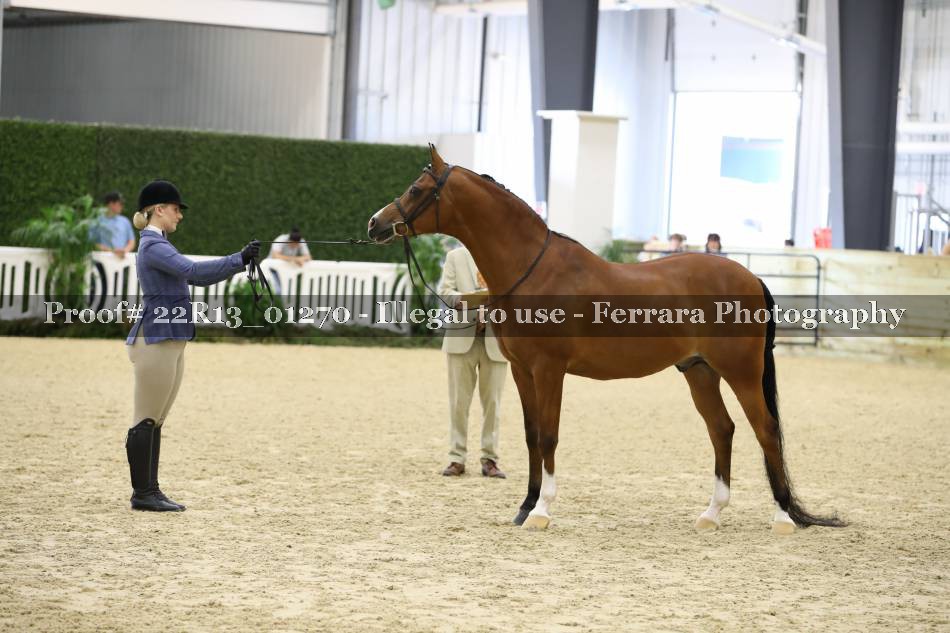 Proof 22R13_01270