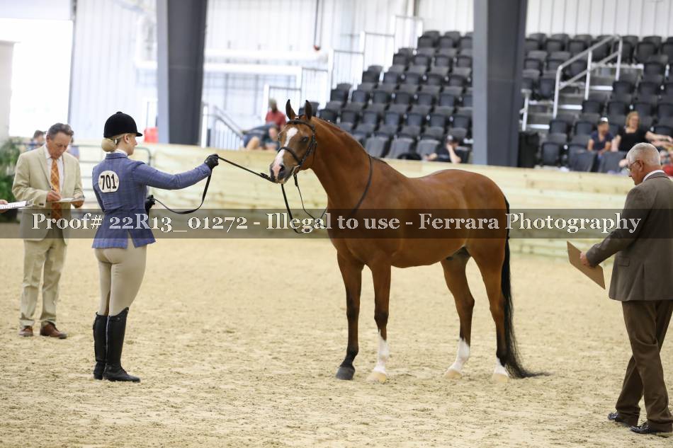 Proof 22R13_01272