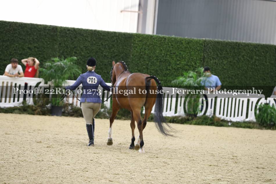 Proof 22R13_01273