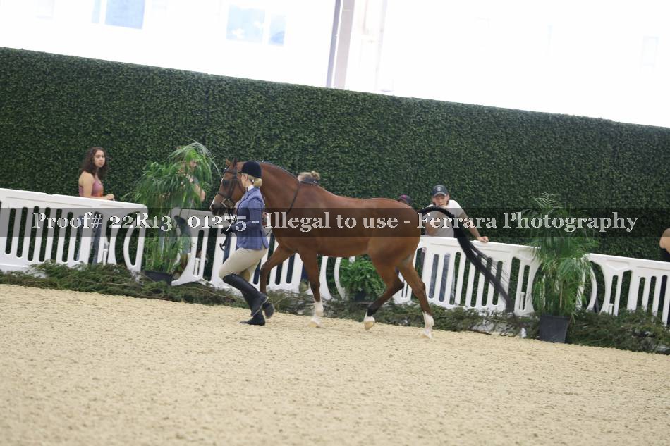 Proof 22R13_01275