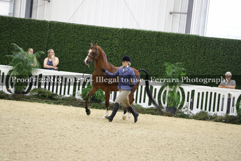 Proof 22R13_01276
