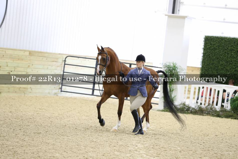Proof 22R13_01278