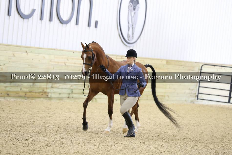 Proof 22R13_01279