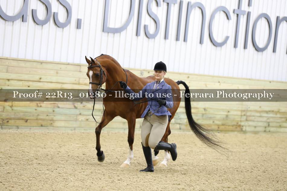 Proof 22R13_01280