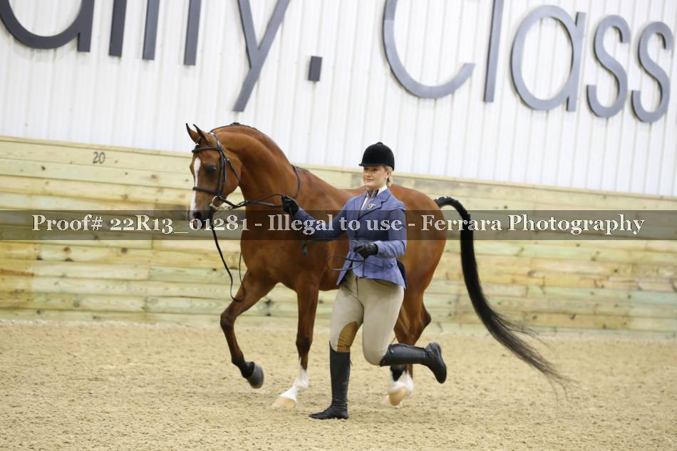 Proof 22R13_01281