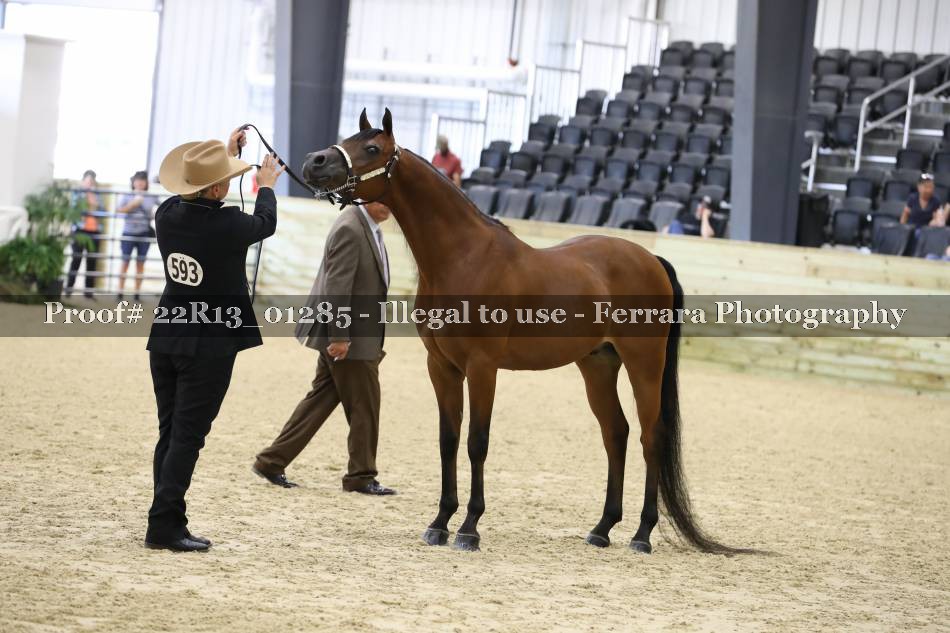 Proof 22R13_01285