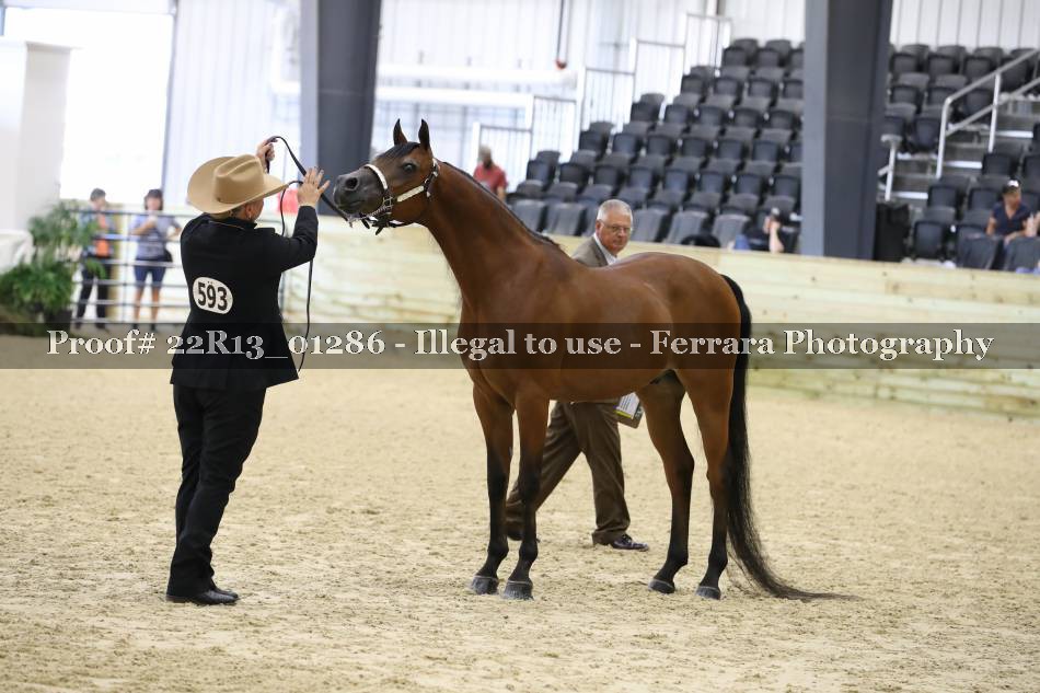 Proof 22R13_01286