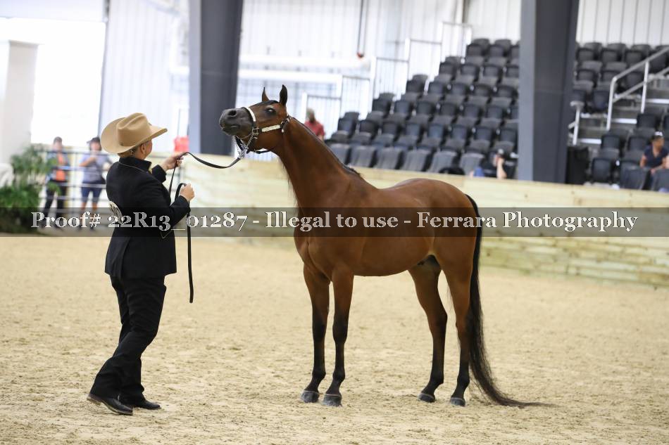 Proof 22R13_01287