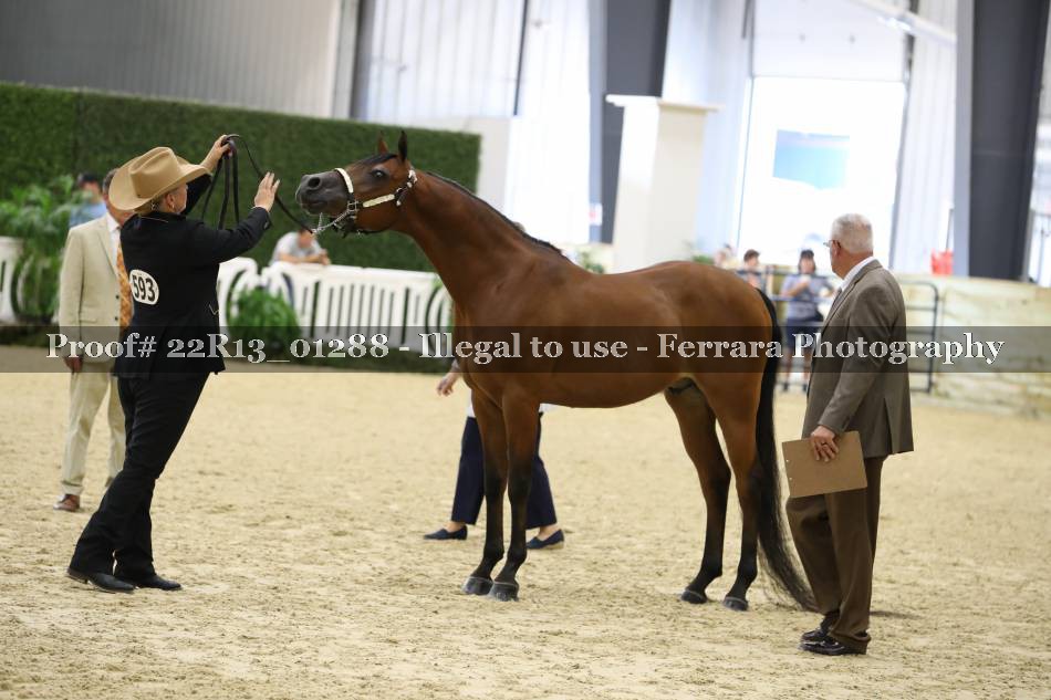 Proof 22R13_01288