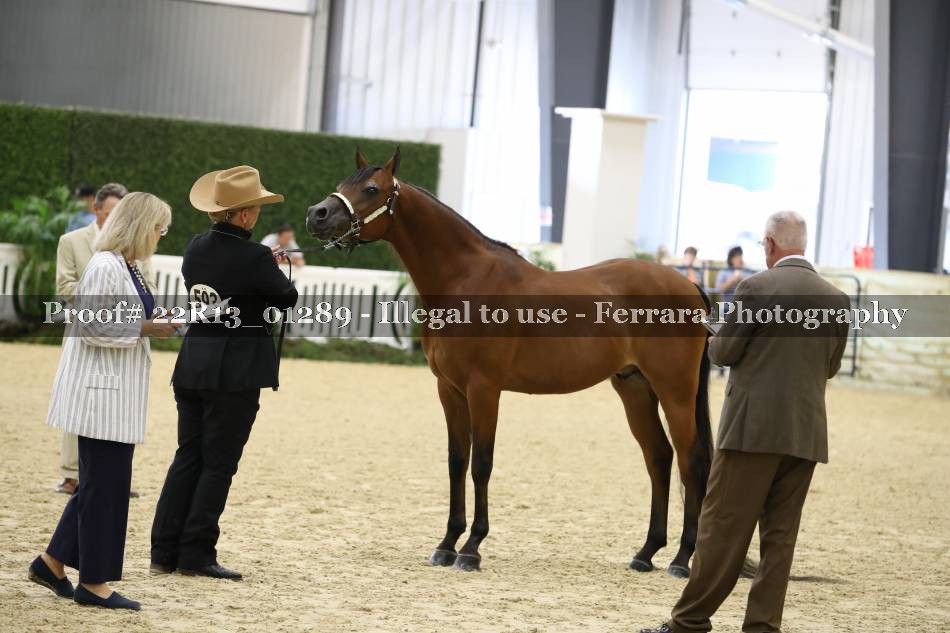 Proof 22R13_01289