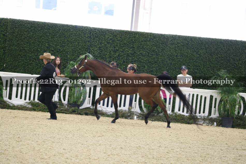 Proof 22R13_01292