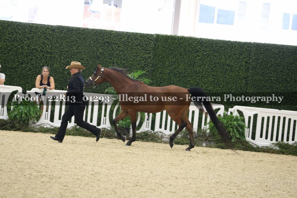Proof 22R13_01293