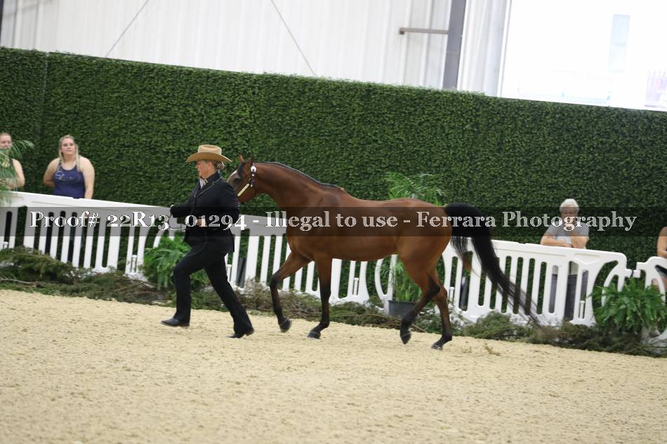 Proof 22R13_01294