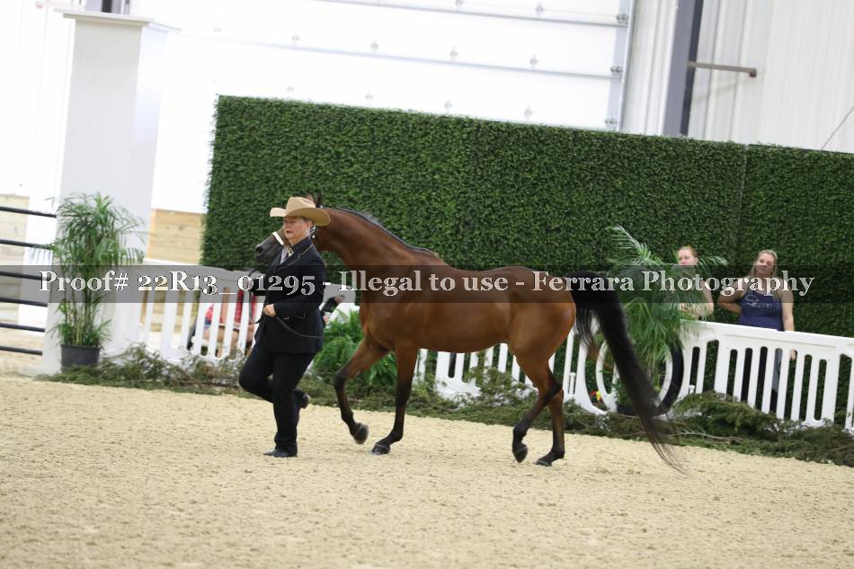 Proof 22R13_01295
