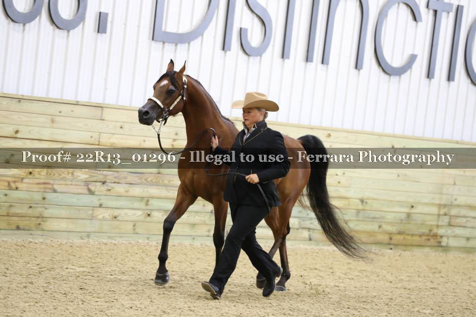 Proof 22R13_01296