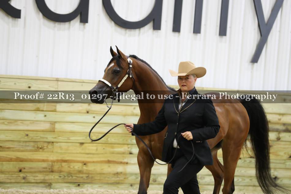Proof 22R13_01297