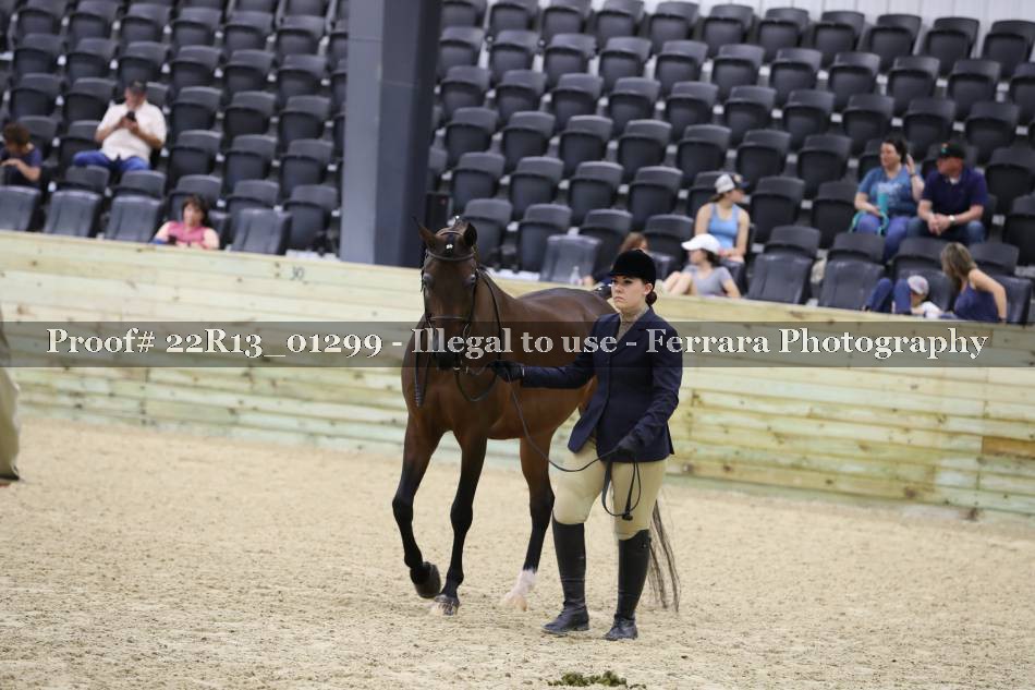 Proof 22R13_01299