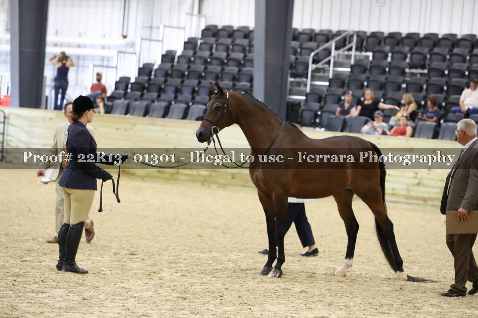 Proof 22R13_01301