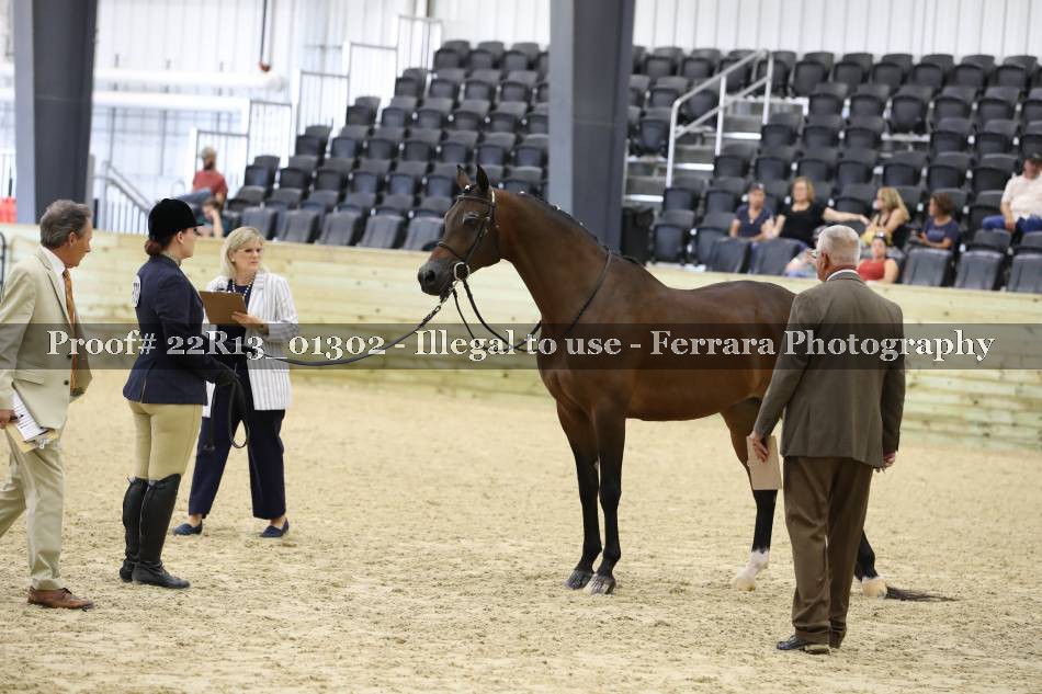 Proof 22R13_01302