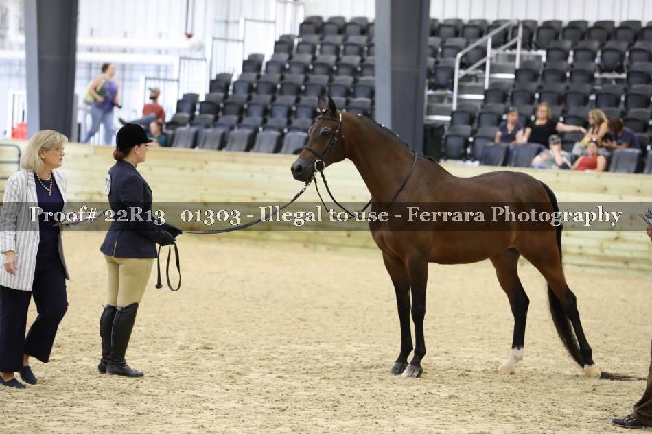 Proof 22R13_01303