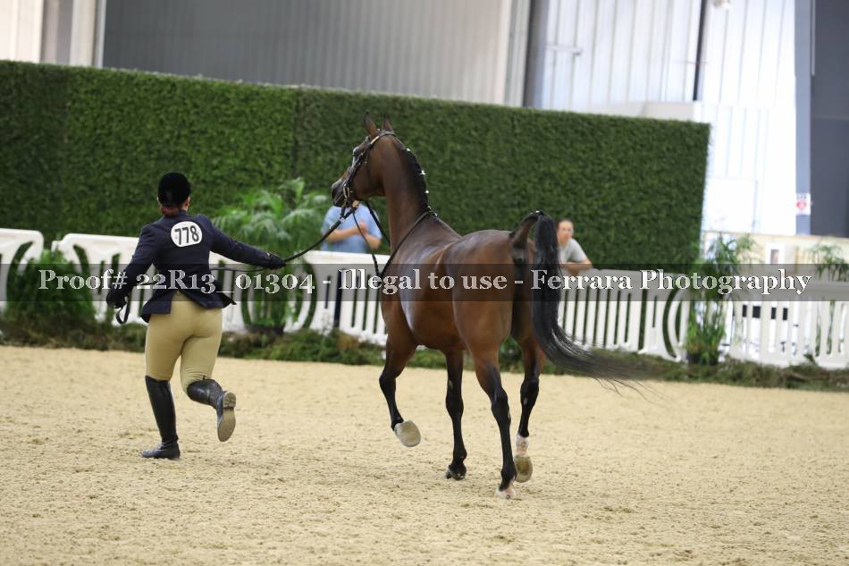 Proof 22R13_01304