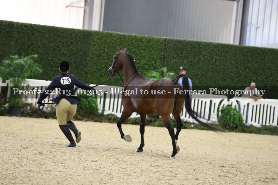 Proof 22R13_01305