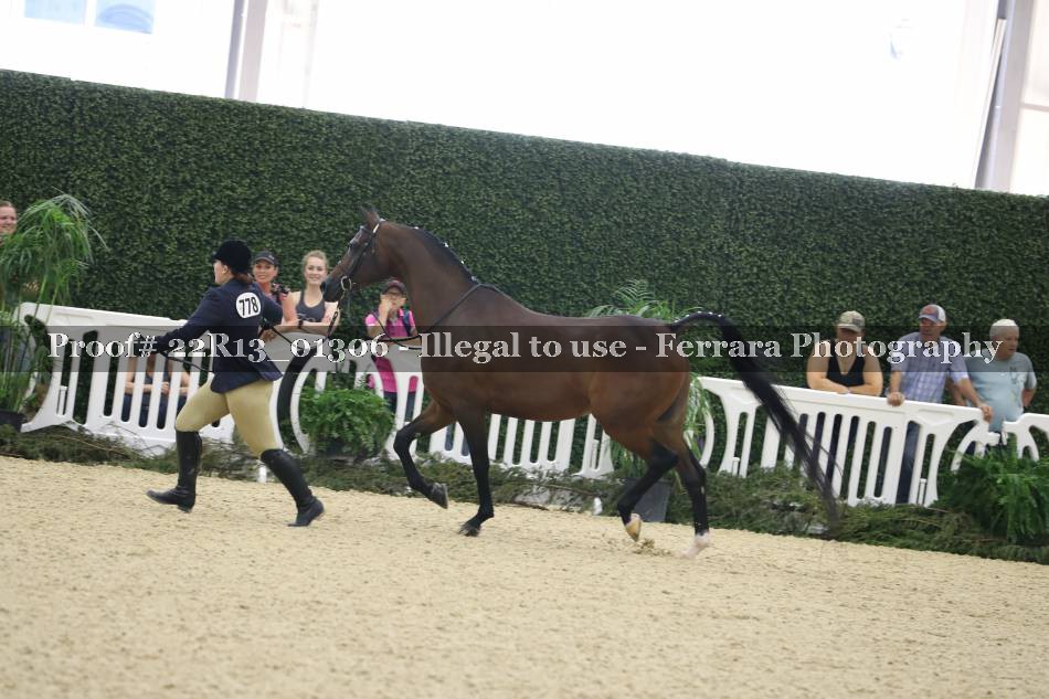 Proof 22R13_01306
