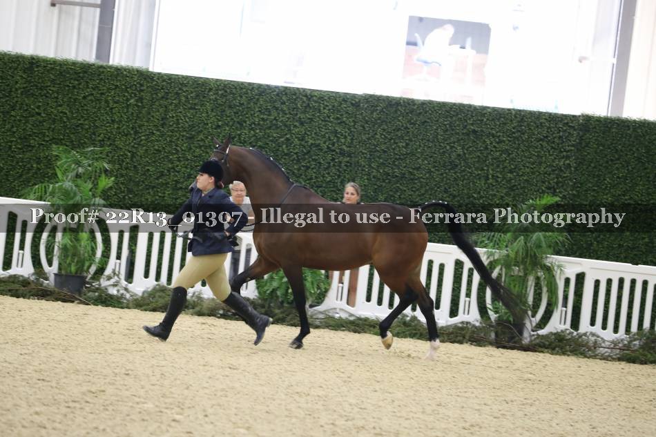 Proof 22R13_01307