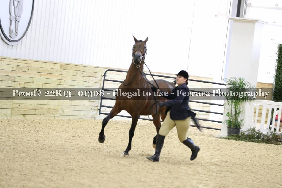 Proof 22R13_01308