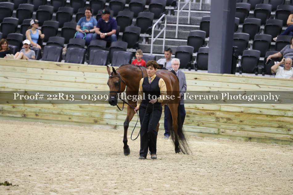 Proof 22R13_01309
