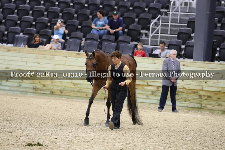 Proof 22R13_01310