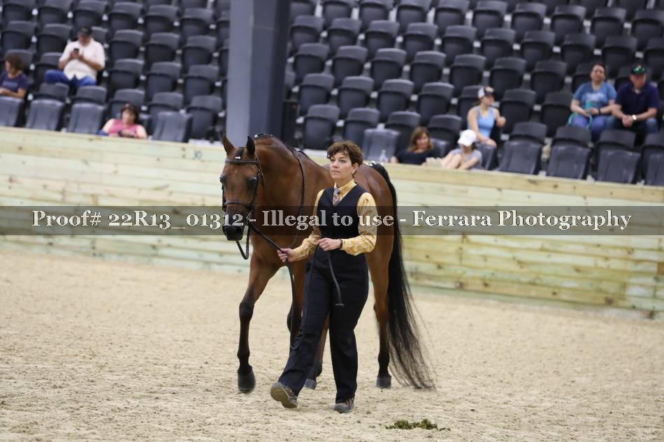 Proof 22R13_01312