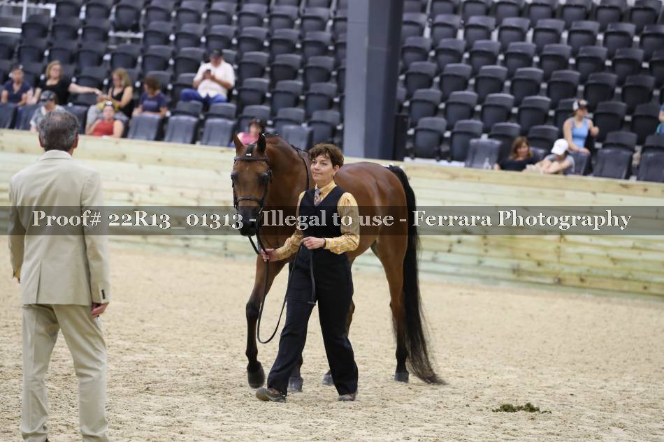 Proof 22R13_01313