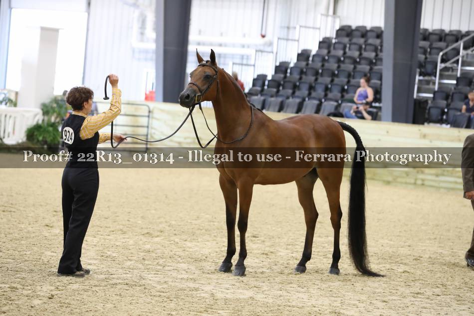 Proof 22R13_01314