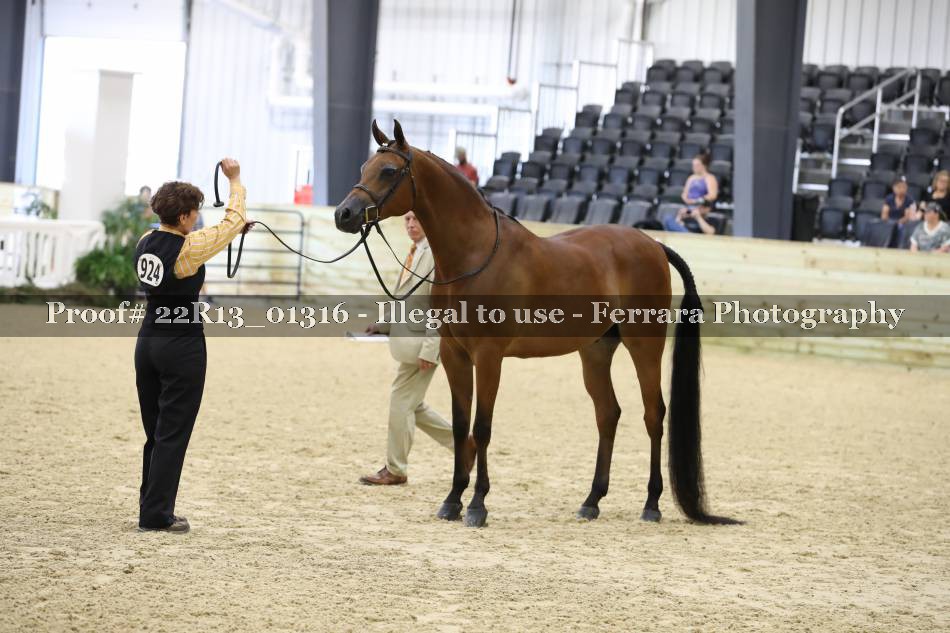 Proof 22R13_01316