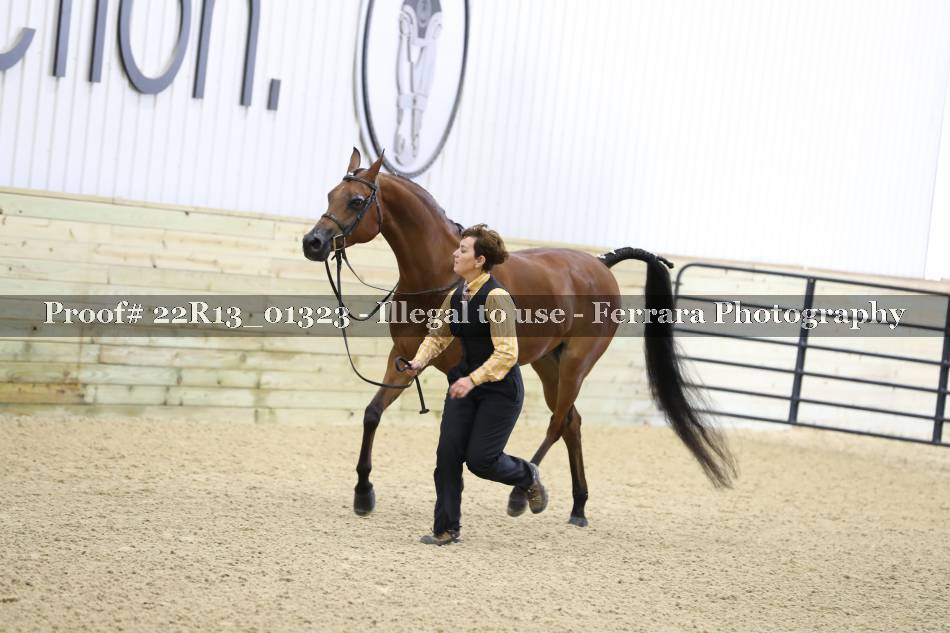 Proof 22R13_01323