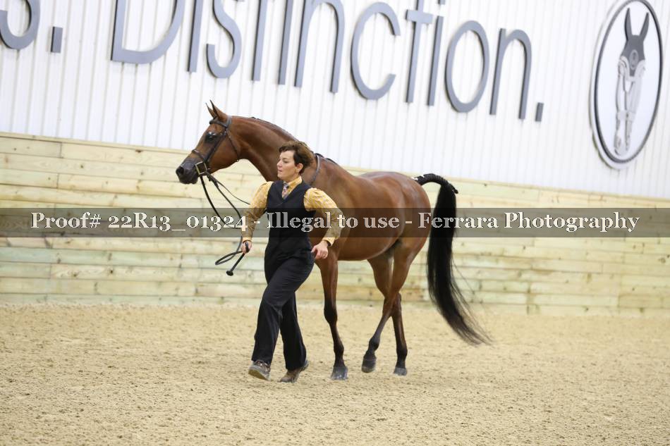 Proof 22R13_01324
