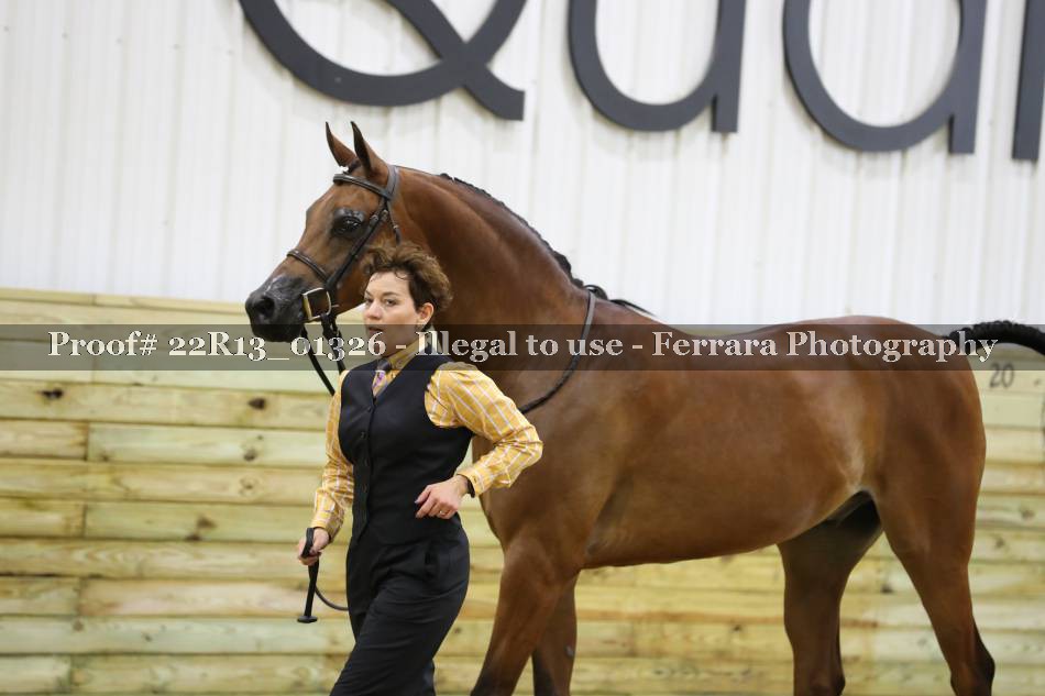 Proof 22R13_01326