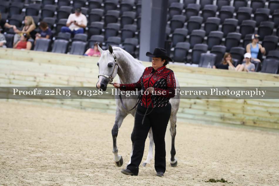 Proof 22R13_01328
