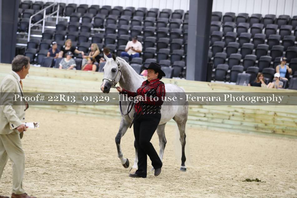 Proof 22R13_01329