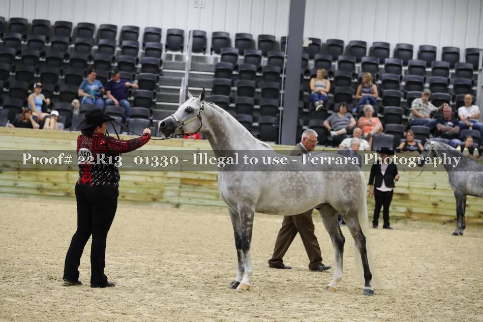 Proof 22R13_01330