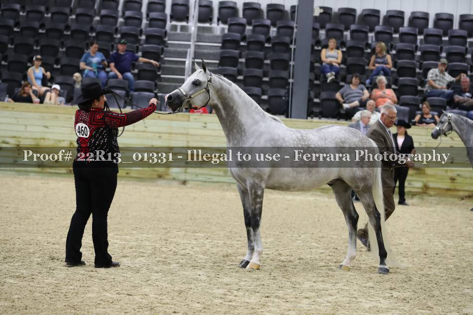 Proof 22R13_01331