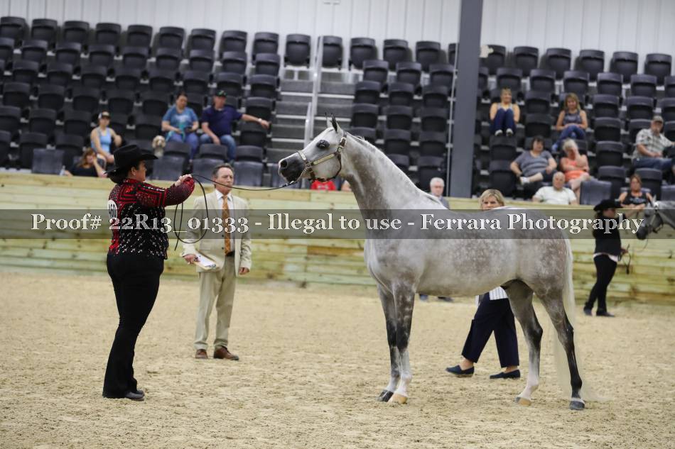 Proof 22R13_01333