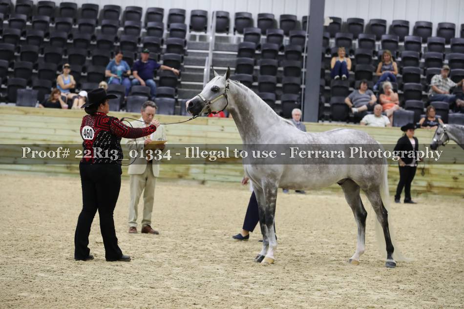 Proof 22R13_01334