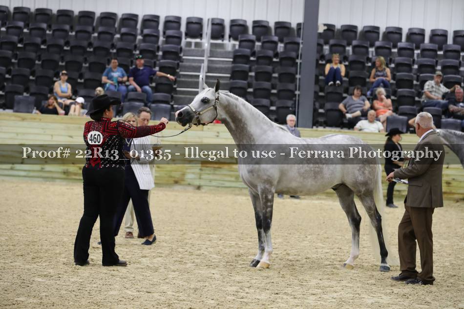 Proof 22R13_01335