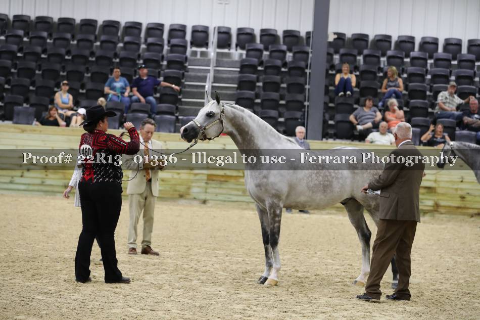 Proof 22R13_01336