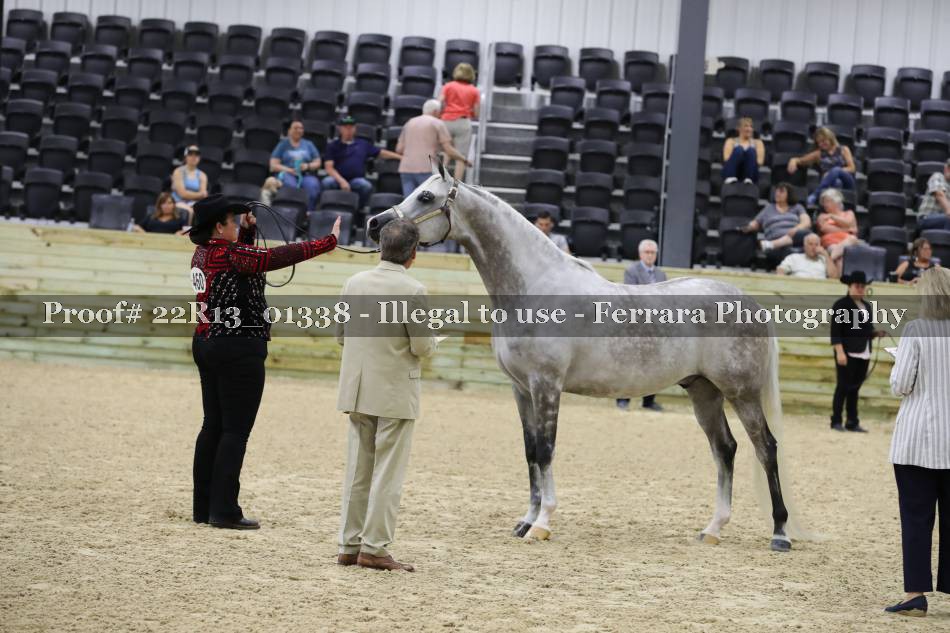Proof 22R13_01338