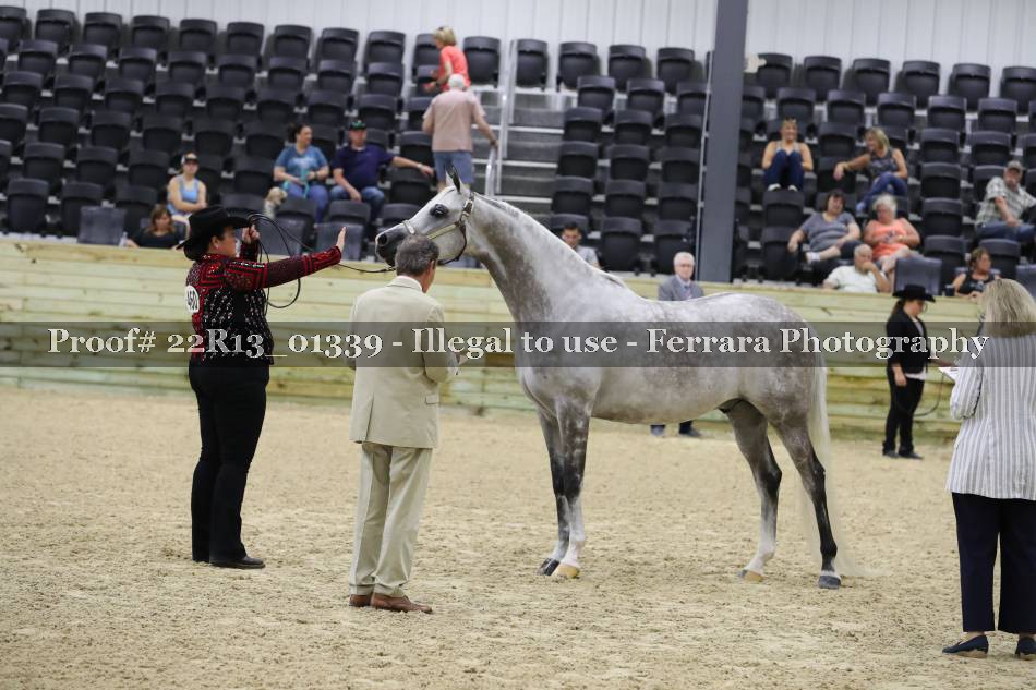 Proof 22R13_01339