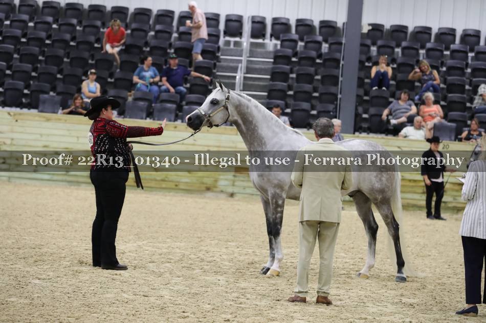 Proof 22R13_01340